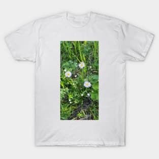 Fleabane 2 T-Shirt